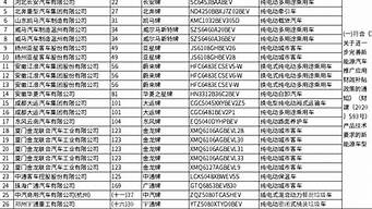 新能源汽车推广目录_新能源汽车推广目录是什么