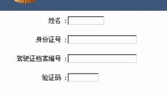 驾驶证查询系统入口_驾驶证查询平台