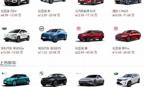 新能源汽车报价大全5万左右_新能源汽车报价大全5万左右的车